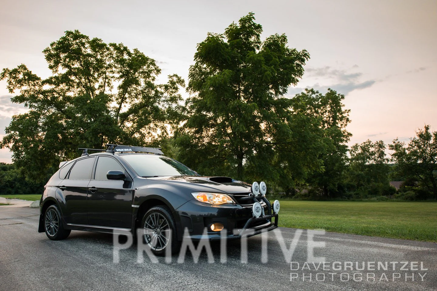 King Lift Springs 08-16 Imp, 08+ WRX - Image 3